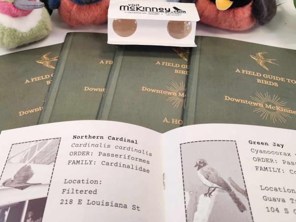 Plush birds with Downtown Bird Guide Books and binoculars - hummingbird, bluebird, Blue jay, and robin