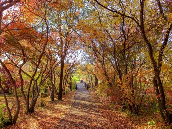 Fall at Elm Creek Park Reserve