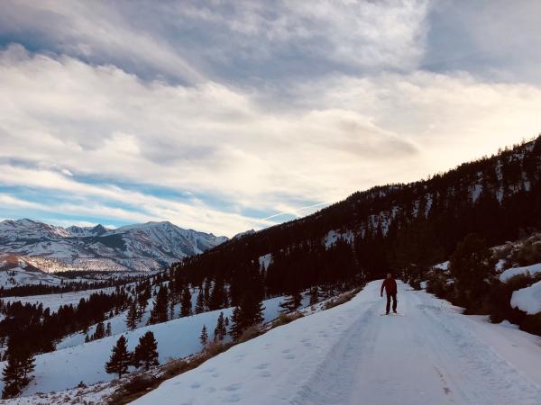 Bridgeport Winter Trail System by Nathan Bech