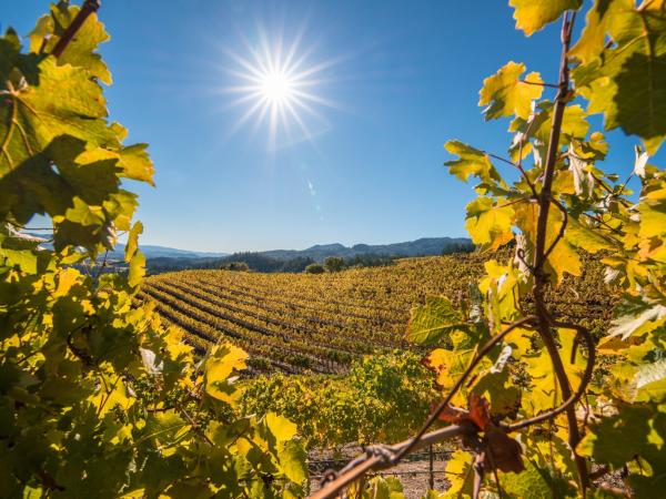 5-reasons-to-visit-napa-valley-this-fall