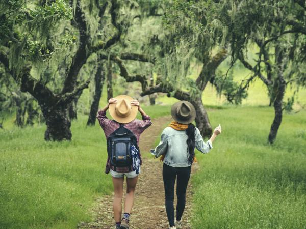 Napa Valley Wellness