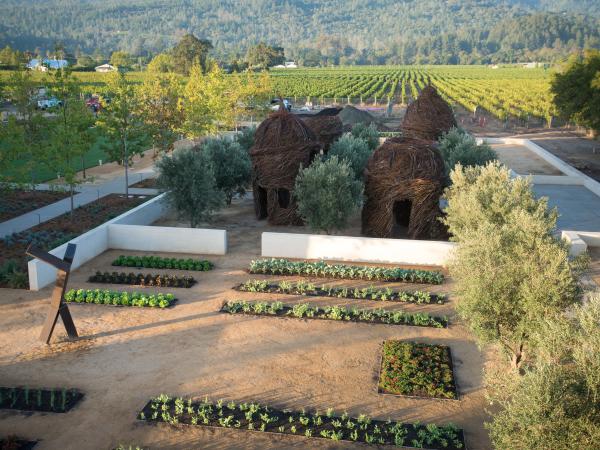 HALL Wines Gardens
