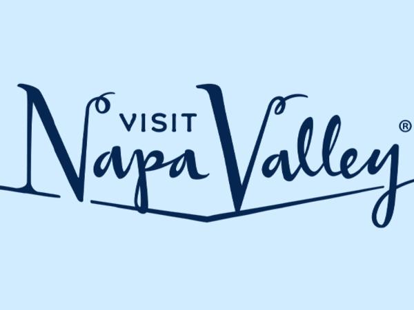 VNV logo card