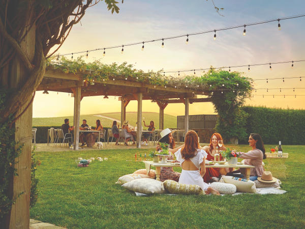 Picnic at a Napa Valley Winery