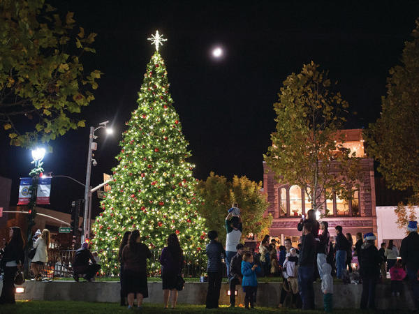 Napa Holiday Tree Lighting