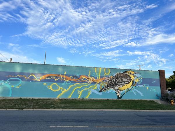 bird mural