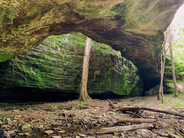 Mantle Rock Trail of Tears