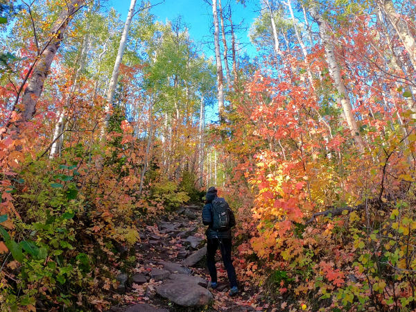 Woman hiking up Iron Mountain Trail during Fall Foliage