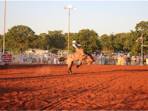 Man Riding Horse During A Rodeo At The Payne County Expo Center In  Stillwater, OK