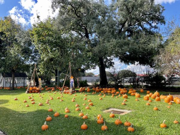 George Ranch Historical Park