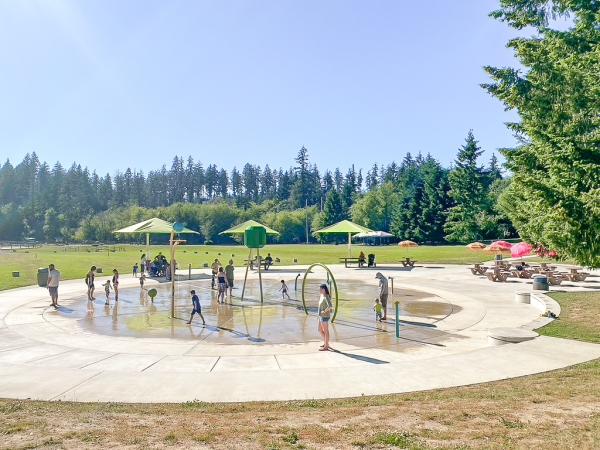 scott gallacher water park