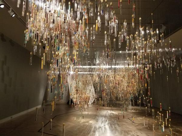 Museum of Glass - Foraging the Hive