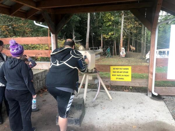maris farms apple launcher