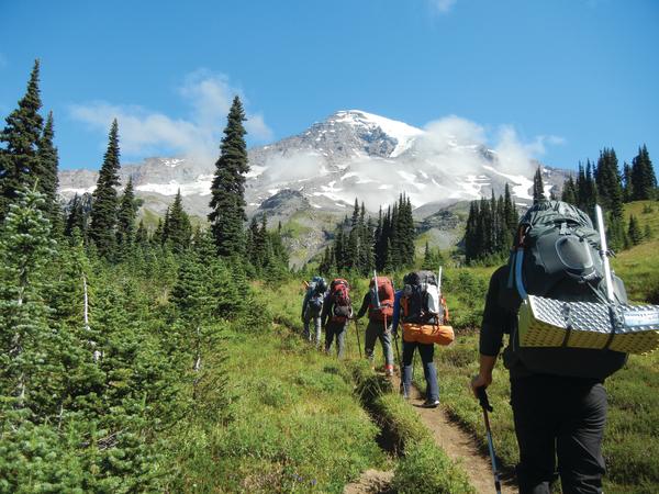 Hiking Mt Rainier