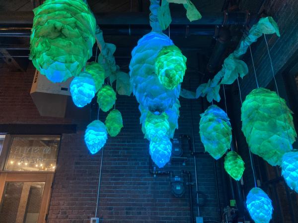 Tacoma Light Trail 2022