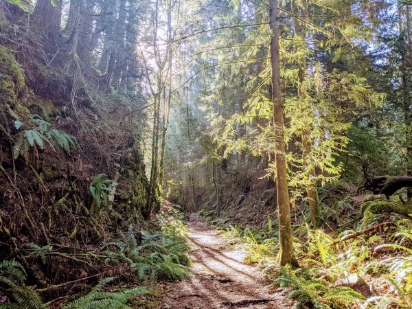 Foothills Trail - Melmont Ghost Town hike