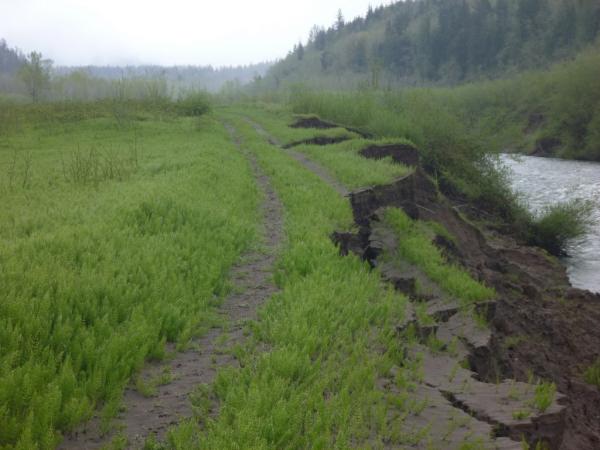 Mud Mountain Dam River Trail