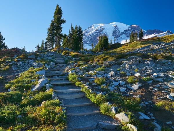 Skyline trail at Mt Rainier