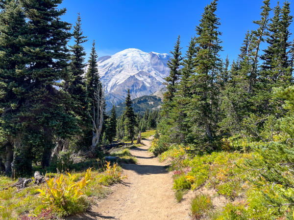 sunrise hike mt rainier