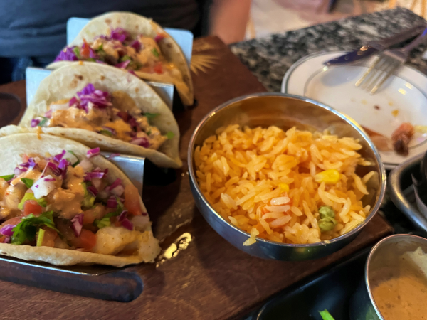 Blue Agave Mexican Grill and Tequila Bar gig harbor