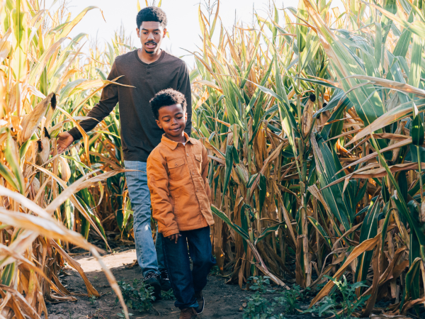 Boys walking in the Big Horse Corn Maze in Temecula