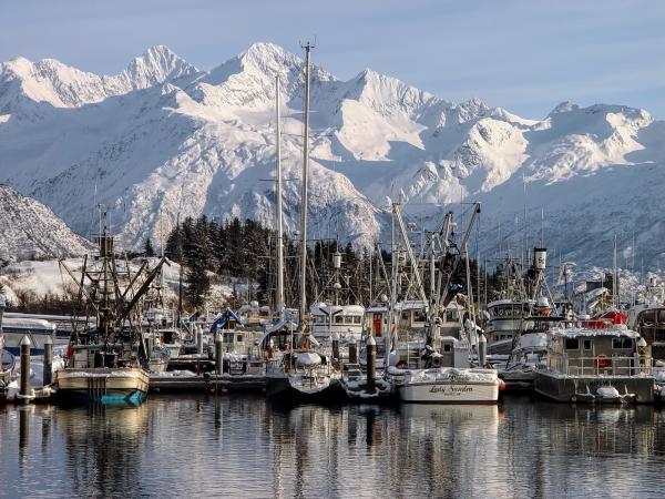 a boat harbor with snow-covered mountains in the background