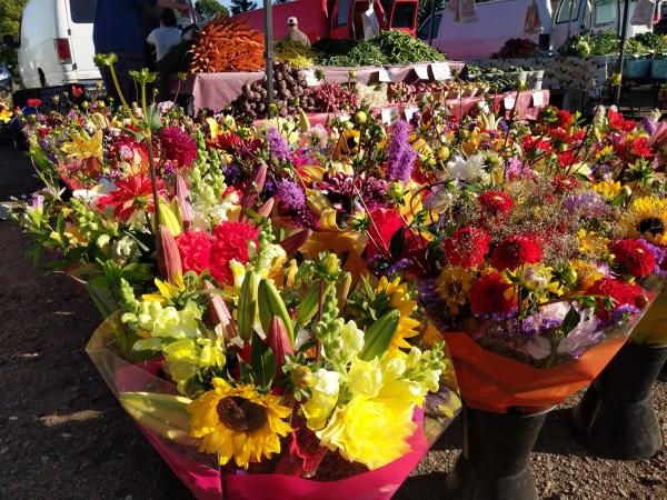 Wausau's Farmers Market Flowers