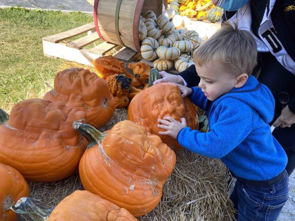 Kent's Cucurbits