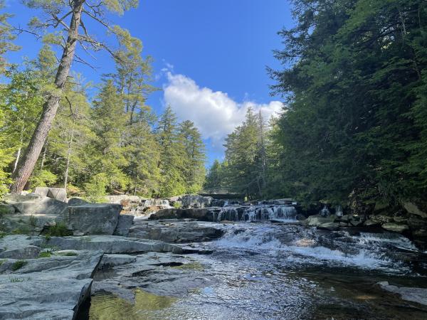 Jackson Falls, NH (view upriver towards falls on summer day)