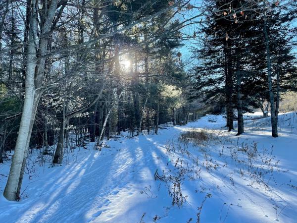 Quick Hikes in the White Mountains: Kilburn Crags (Lower Trail)