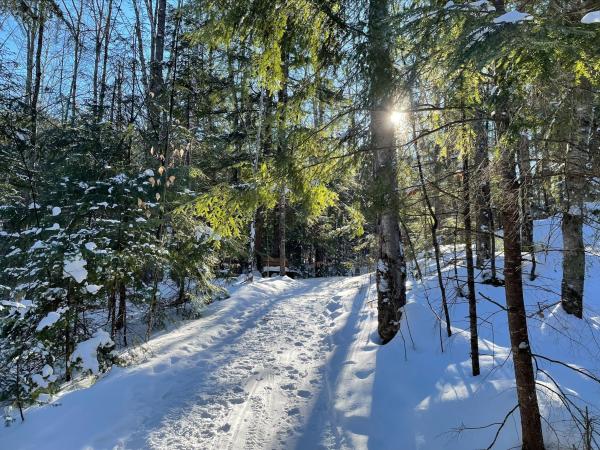 Quick Hikes in the White Mountains: Kilburn Crags (Bench)