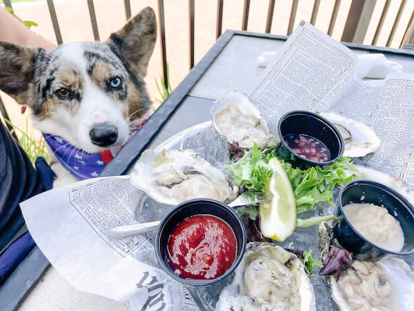 navy and duke oysters riverwalk restaurant