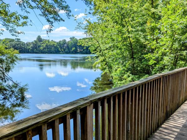 Lake Bridge in natural area