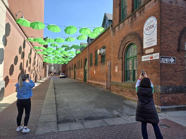 green umbrella sky