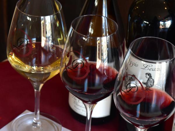 Benvenuto Wine and Olive Oil Tasting Experience