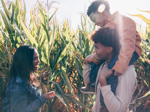 Big Horse Corn Maze