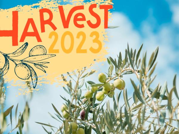 Harvest Festival 2023