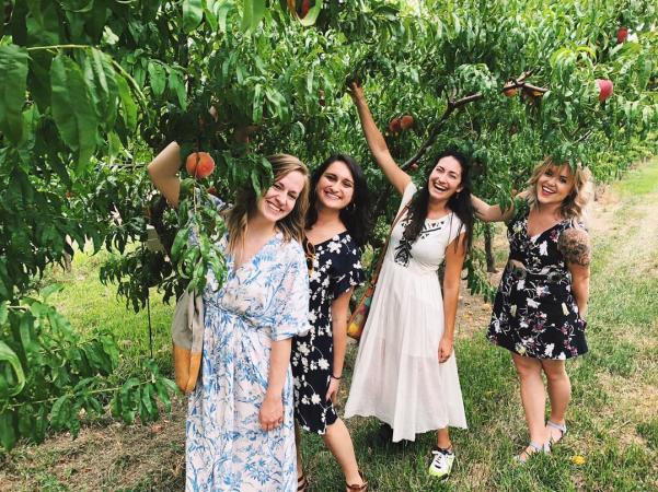 Four women picking peaches in a peach orchard
