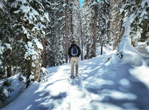 Man Snowshoeing on the Grand Mesa Surrounded by Forest