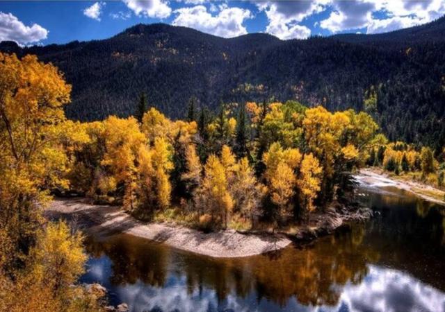 Fall Foliage