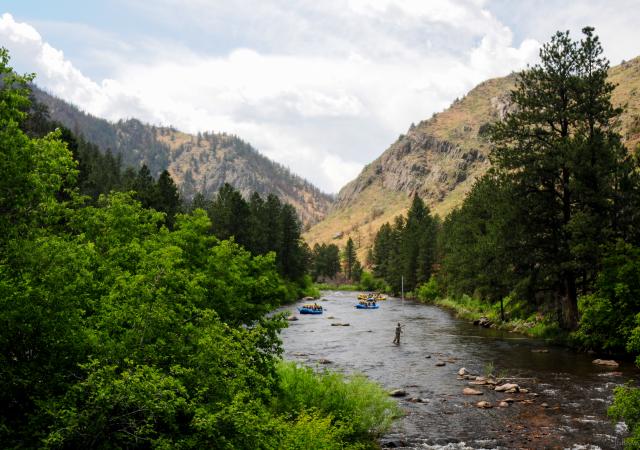 Whitewater Rafting Poudre Canyon