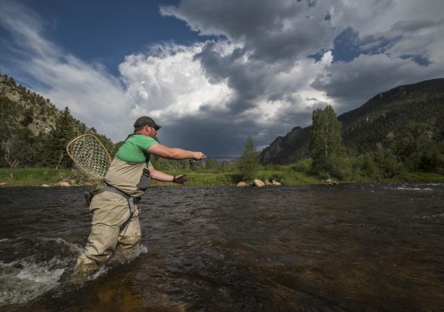 Fly Fishing Poudre River