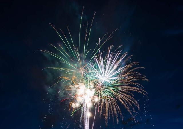 Copy of City-Park-fireworks-02---Credit-Richard-Haro-2016