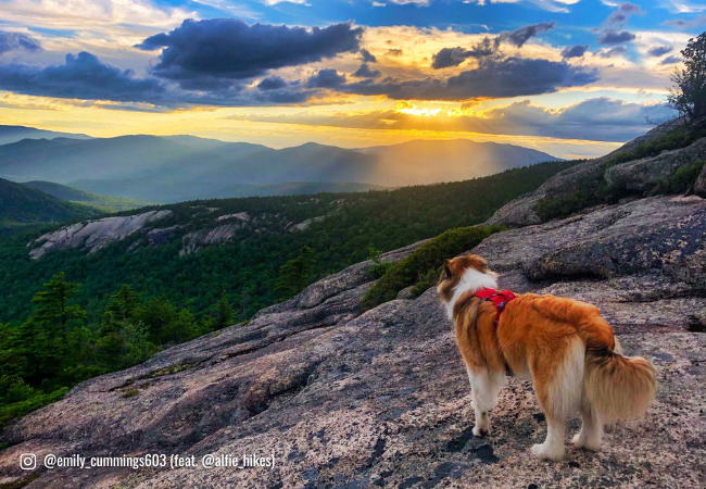 Welch-Dickey Mountain Loop