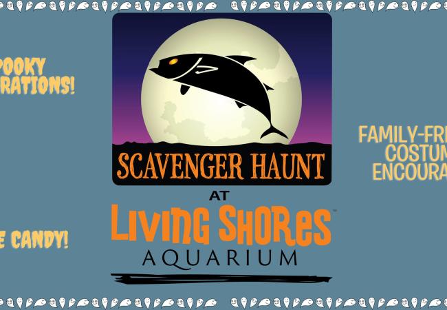 Living Shores Scavenger Haunt Poster