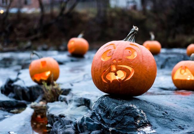 Close-up of a carved pumpkin during Gathering of the Jacks