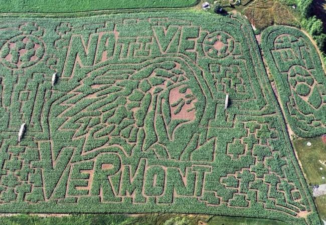 Great Vermont Corn Maze