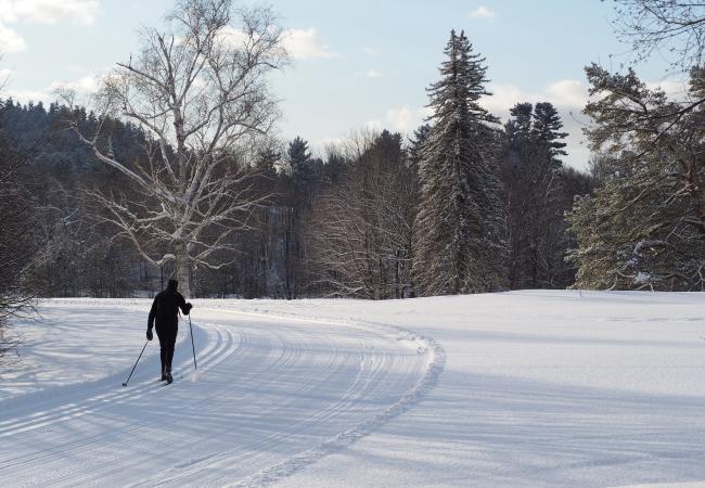 A cross-country skier on a tour from Jackson Ski Touring follows a trail around a bend 