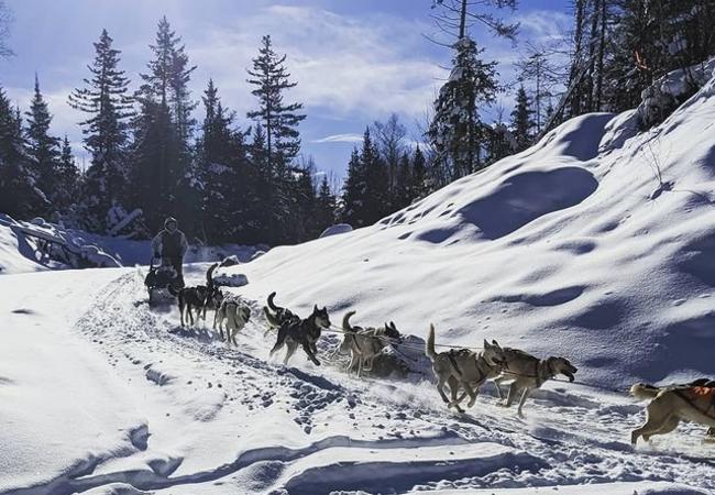 A team of sled dogs from Muddy Paw Sled Dog Kennel pull a rider along a snowy mountain path