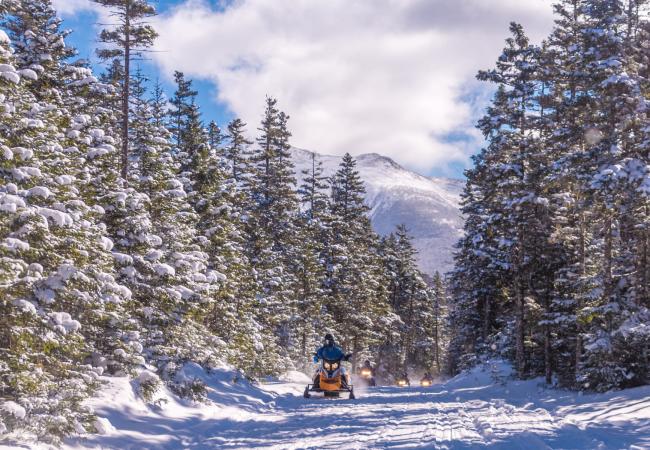 A line of snowmobiles passes along a trail between snow-covered trees on an expedition from Northern Extremes Snowmobiling